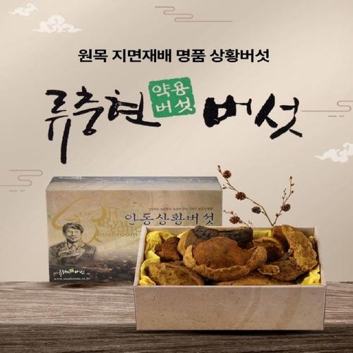 상황버섯 약용버섯 상품 1kg(1)