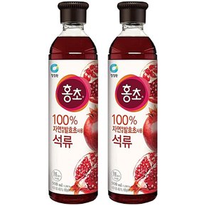 블루베리 복분자 대상 청정원 홍초 석류 900ML x 2개 서치생활