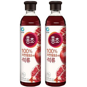 블루베리 복분자 대상 청정원 홍초 석류 900ML x 2개 서치생활