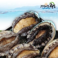 [생일도 참전복]완도직송 총각이 키운 활전복 1kg(10-12미)