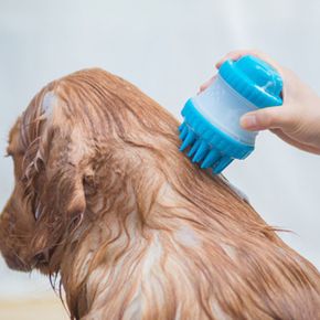 브러시/빗 강아지빗 강아지 샴푸브러쉬 실리콘 애견 목욕솔 미용빗 반려견