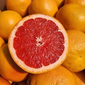 고당도 수입 자몽 2kg 내외