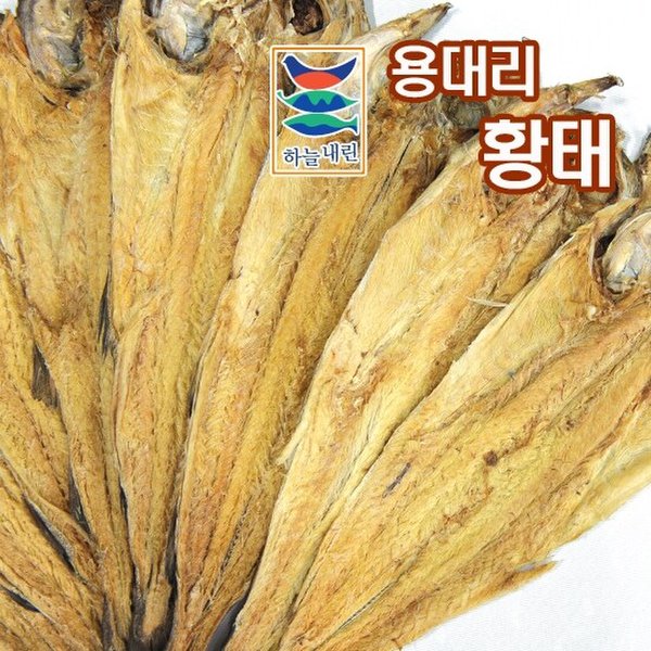 확대된 대표 이미지 P
