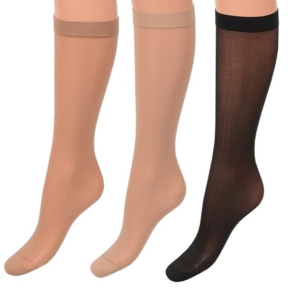 확대된 대표 image1