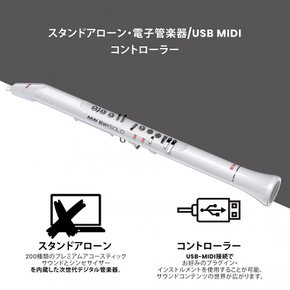 Akai Pro EWI Solo 윈드 신디사이저 전자관 악기 스피커 내장 200 음색 이위 화이트
