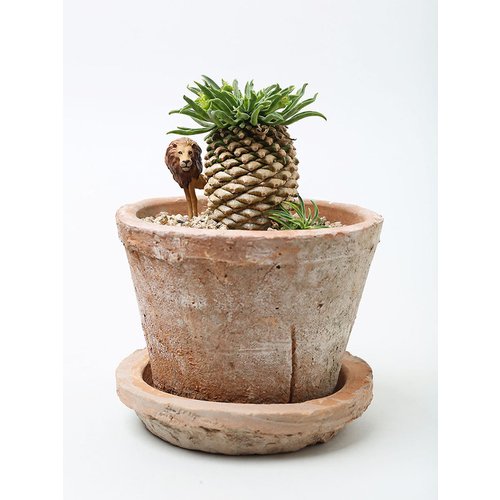 image9