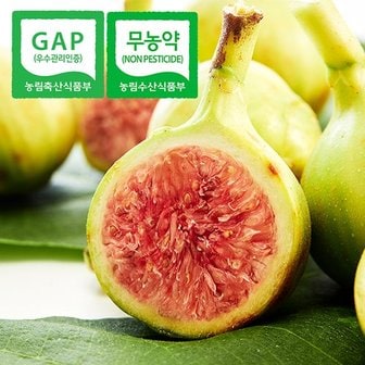 웰굿 [무농약] GAP인증 당일수확 전남 고당도 청 무화과 4kg(56-72과)