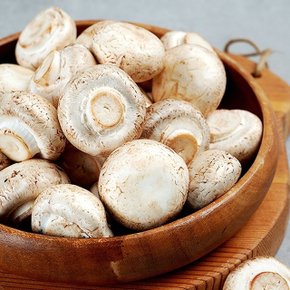 양송이버섯 1kg 못난이