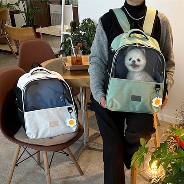 확대된 대표 상품이미지1