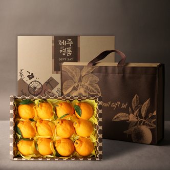과일연가 [과일선물세트] 한라봉 선물세트 3kg(11~12개) 부직포 가방