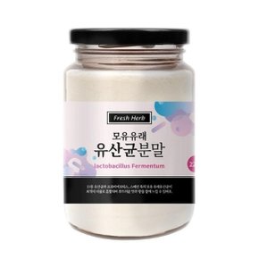 모유 유래 유산균 분말 220g 유산균19종함유 x2세트