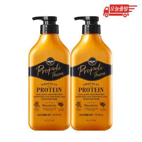 오늘출발 엘라스틴 프로폴리테라 안티에이징 손상 모발용 삼푸 500ml 2개