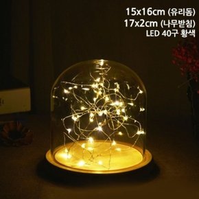 15 LED 원목받침 타원유리돔 용기 (WE8C86B)