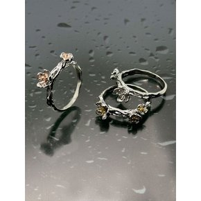 봄이와도_Water Ring