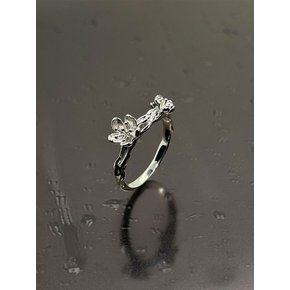봄이와도_Water Ring