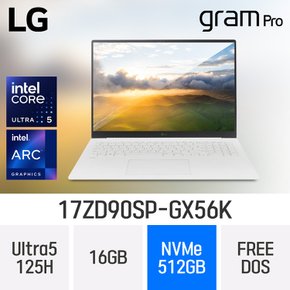 LG전자 그램 프로17 17ZD90SP-GX56K - 램16GB / NVMe 512GB / FREEDOS