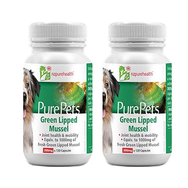 뉴질랜드 엔젯퓨어 펫 초록입홍합 200mg 120캡슐 2개
