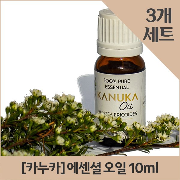 확대된 대표 이미지1