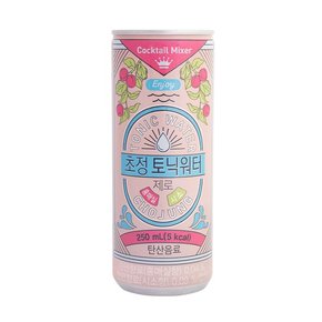 초정토닉워터 제로 홍매실·시소 250ml x 30캔 2박스 총 60캔