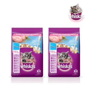 ViPET 위스카스 고양이사료 포켓 오션피쉬 1.2KG 2개
