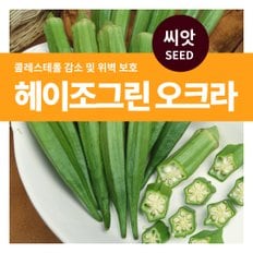 헤이조그린 오크라 씨앗 20립