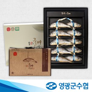 영광군수협 [9/12 오전8시 결제 건까지 명절전배송][영광군수협]법성포 영광 굴비 명품 오가 선물세트 1.4kg(10미) / 고급지함, 부직포가방 포장