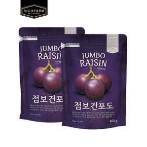 점보건포도 400g x 2봉 건과일 건포도