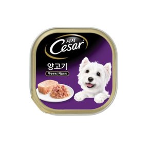 시저 쇠고기 애견 캔간식 100g