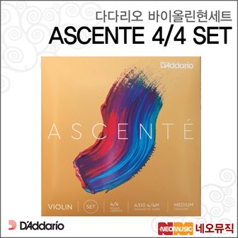 다다리오 바이올린현세트 ASCENTE 4/4 SET / 아센테