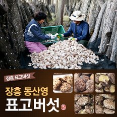 [실속/가정용]장흥 표고버섯 200g/동고 흑화고 백화고/표고버섯/건표고버섯