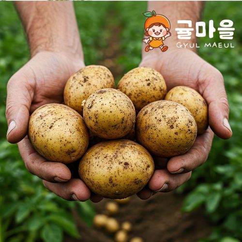 추가2이미지
