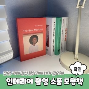 인테리어 촬영 소품 가짜 모형책 흑인 (WC3EBC1)