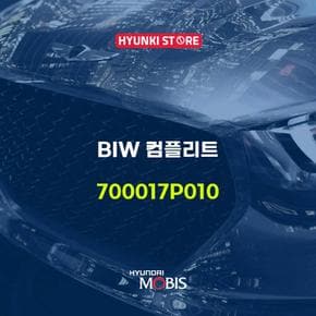 BIW 컴플리트 (700017P010)