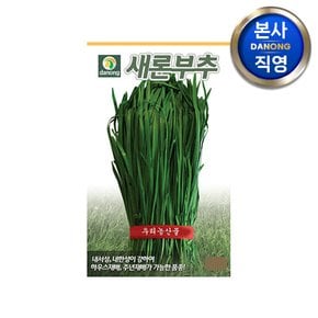 새론 부추 씨앗 80g . 채소 야채 텃밭 파종 재배 주말 농장 씨 종자