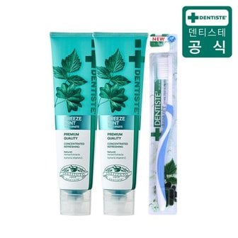 덴티스테 뉴브리즈민트 치약 180g×2개 + 이중 미세모 칫솔×1개_