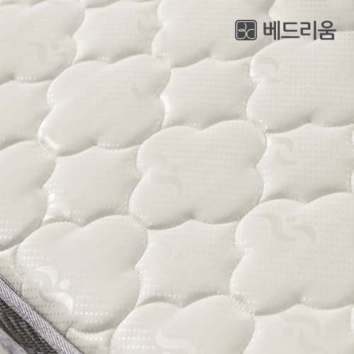 이미지 DP