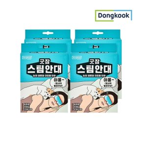 [동국]굿잠 스팀안대 10매입 x 4개