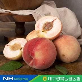 [산지직송]경북 영천 딱딱이 복숭아(백도) 3kg 15과내