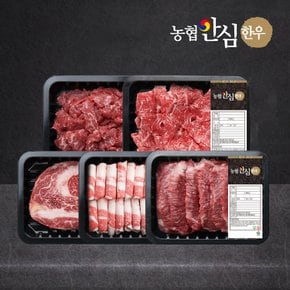 [신세계백화점] 산지직송 1등급 한우 모듬 세트 1kg (꽃등심/차돌/모듬/불고기/국거리)