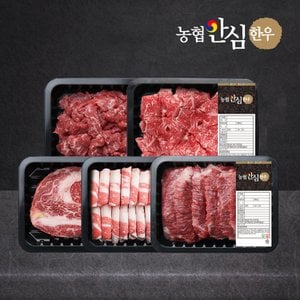 농협안심한우 [신세계백화점] 산지직송 1등급 한우 모듬 세트 1kg (꽃등심/차돌/모듬/불고기/국거리)