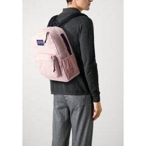 4957583 JanSport CENTRAL ADAPTIVE PACK UNI - Rucksack misty rose