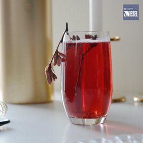 독일 쇼트즈위젤 뱅킷 비어 텀블러 320ML 1P