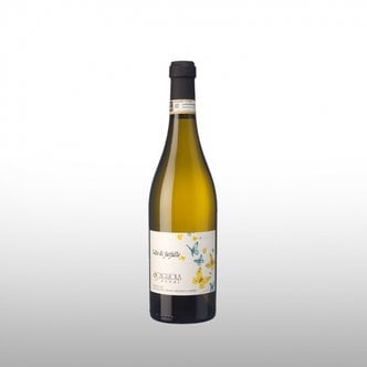 WINE&MORE 스칼리올라 파르팔레 모스카토 다스티 750mL