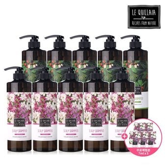 르퀼라야 스칼프 샴푸 대용량 810ml * 10통 + 체험분 7ml 5매