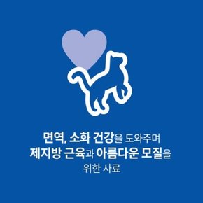 고양이사료 어덜트 2kg