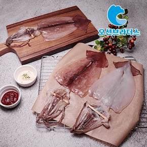 촉촉한 반건조 오징어 550g / 5마리