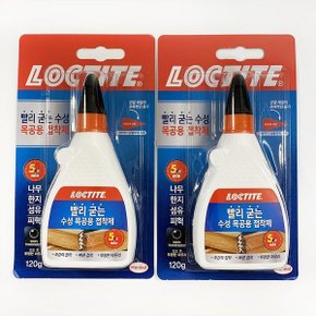 미성실란트/록타이트우드글루/빨리굳는목공접착제120g