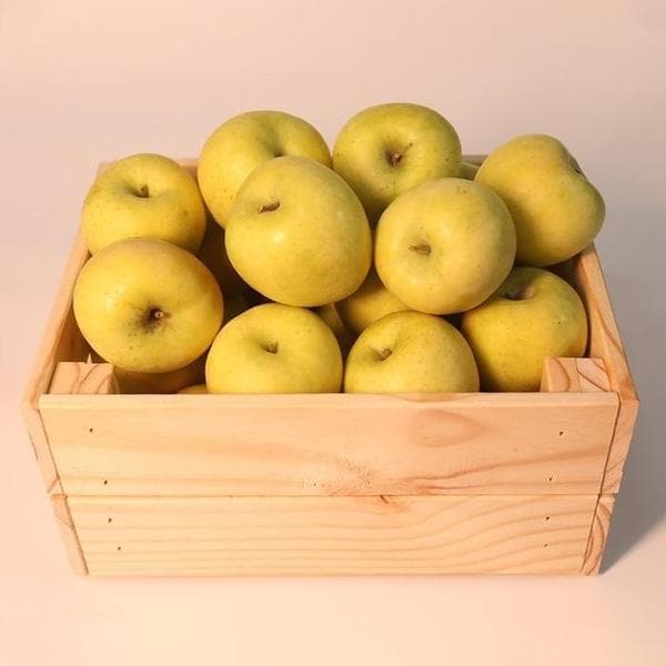 확대된 대표 가정용 시나노골드 사과 1kg 소과 5-8과내외(1)