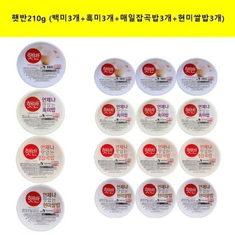 CJ제일제당 210g(백미3개+흑미3개+매일잡곡밥3개+현미쌀밥3개)(총12개)