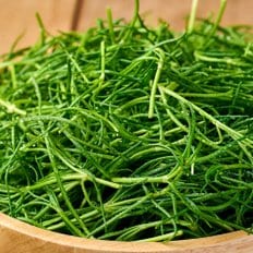 자연진리 전남 무안 세발나물 갯나물 1kg